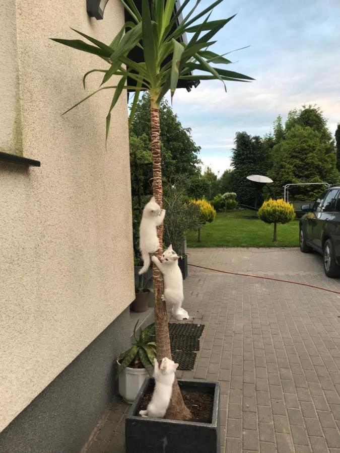 Agroturystyka Nad Stawami Szemud Eksteriør bilde
