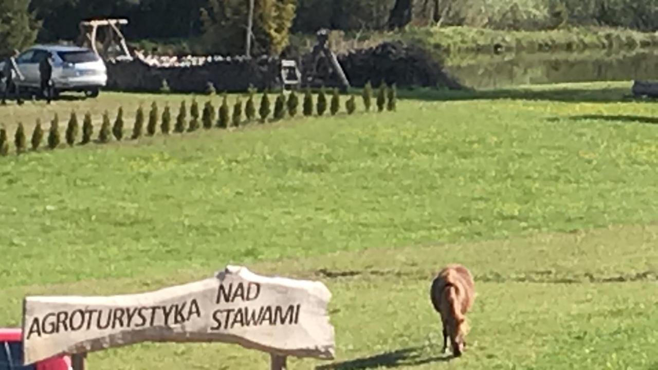 Agroturystyka Nad Stawami Szemud Eksteriør bilde