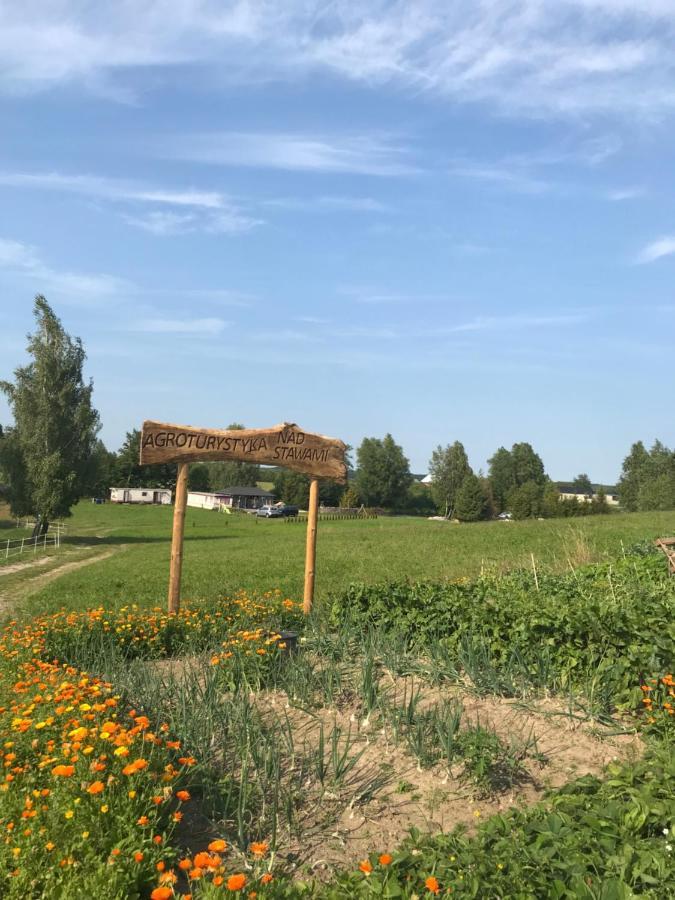 Agroturystyka Nad Stawami Szemud Eksteriør bilde